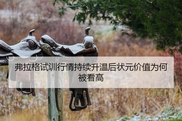 弗拉格试训行情持续升温后状元价值为何被看高