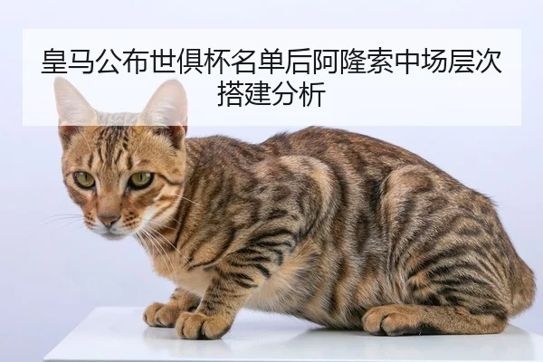 皇马公布世俱杯名单后阿隆索中场层次搭建分析