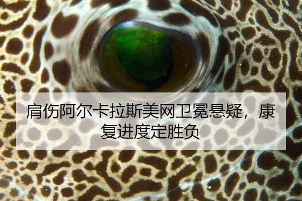 jian-shang-a-er-ka-la-si-mei-wang-wei-mian-xuan-yi-kang-fu-jin-du-ding-sheng-fu-2-411.jpg